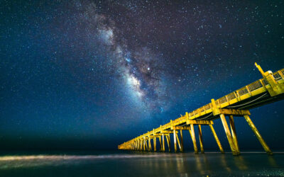 Welcome to the development website