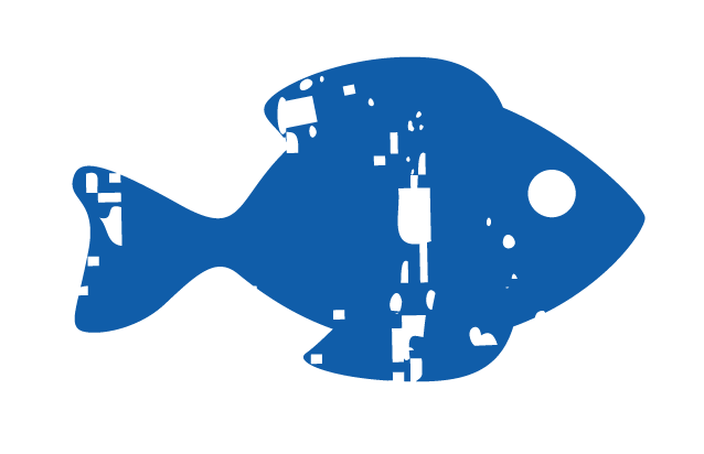 Blue Fish 