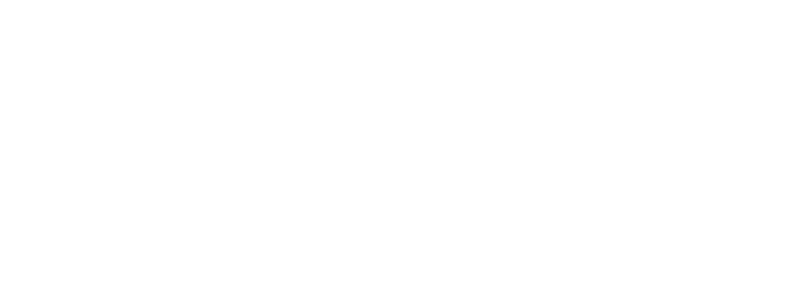 The Flamingo Hotel